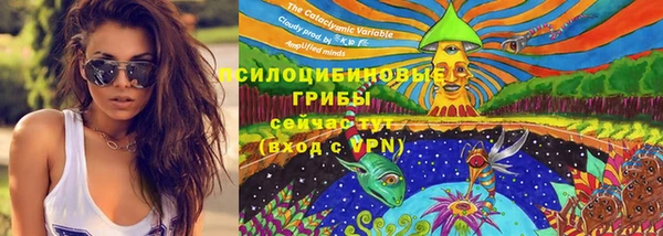 прущий лед Армянск