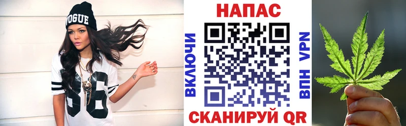 Бошки Шишки индика  как найти   Большой Камень 